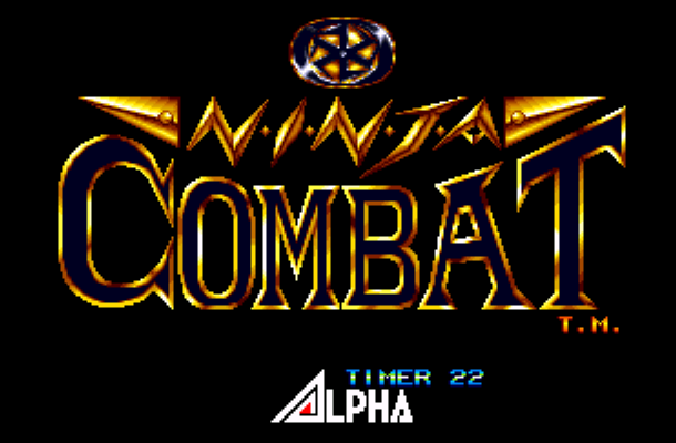 Ninja Combat-ss1.png