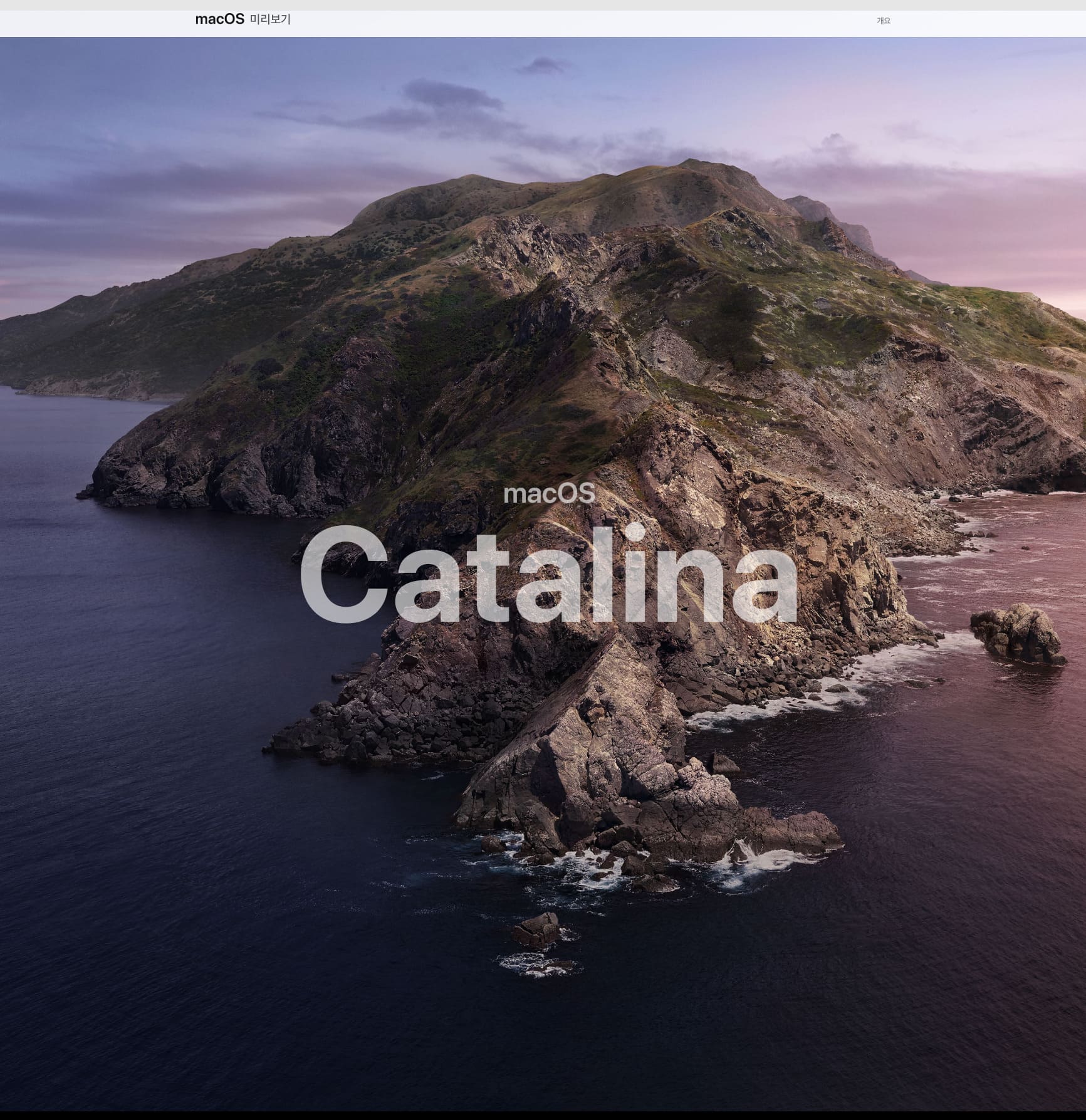 macOS Catalina.jpg