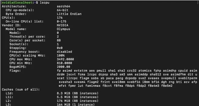 image (3).webp.jpg
