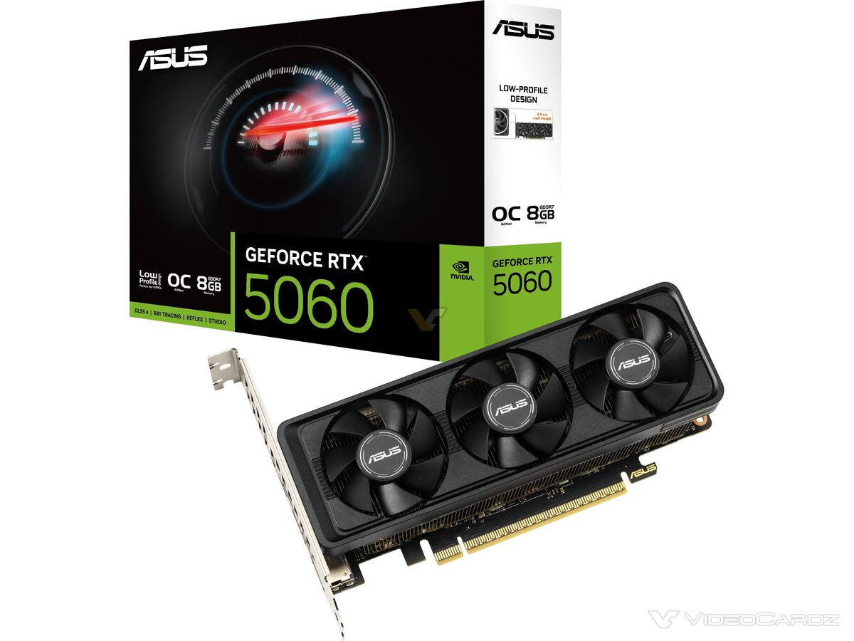 asus-geforce-rtx-5060-8gb-lp-brk-d9ae-1200x900-1.jpg