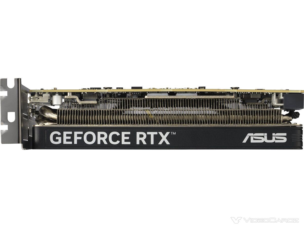 asus-geforce-rtx-5060-8gb-lp-brk-77da-1200x900-1.jpg