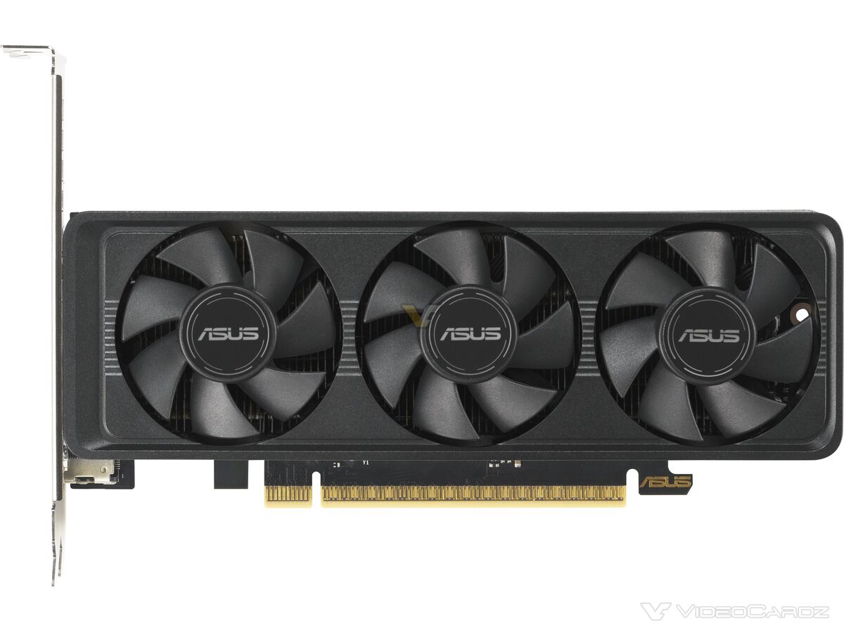 asus-geforce-rtx-5060-8gb-lp-brk-e90d-1200x900-1.jpg